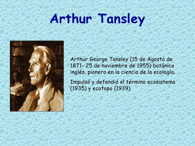 Tansley