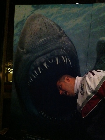 Personalidad/ Aspectos Negativos