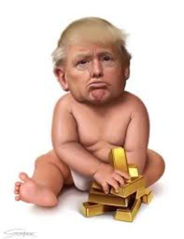 Donald John Trump born