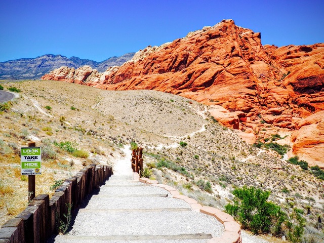 My favorite Music Band