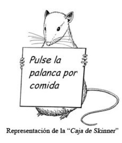 Teorías del Aprendizaje