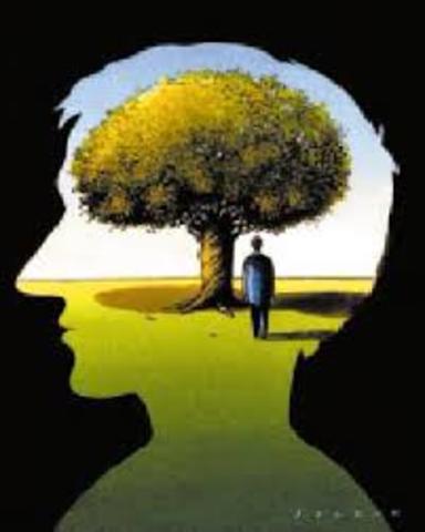 Teoría de dominio específico, innatismo constructivista