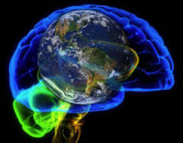 Teoría Emergente, La Neurociencia del Desarrollo