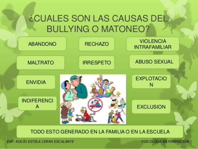 CAUSAS DEL BULLYING