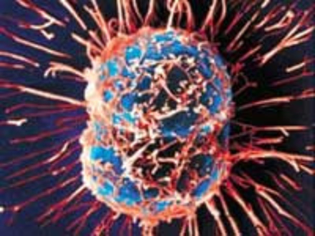 Los  logros científicos más relevantes de 2008