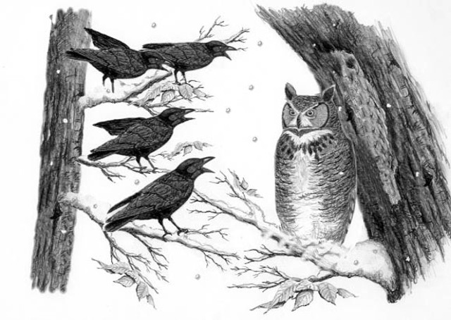 " ORIGEN DEL TÉRMINO BULLYING "