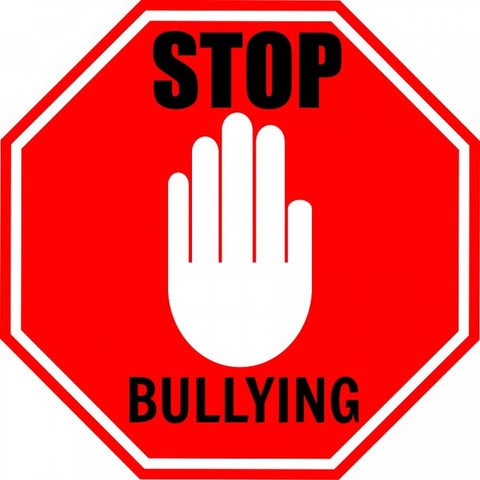 " PRIMER CASO DE BULLYING "