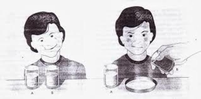 Bruner publica su primer trabajo sobre percepción