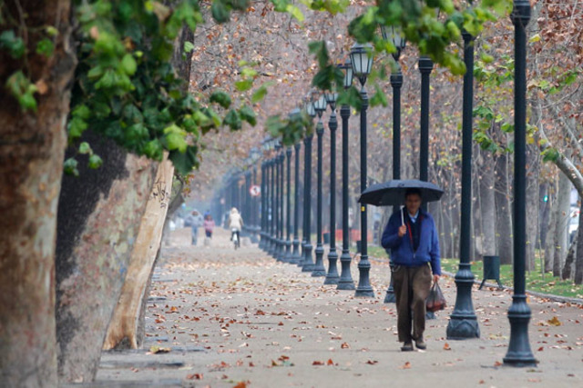 se inaugura el Parque forestal