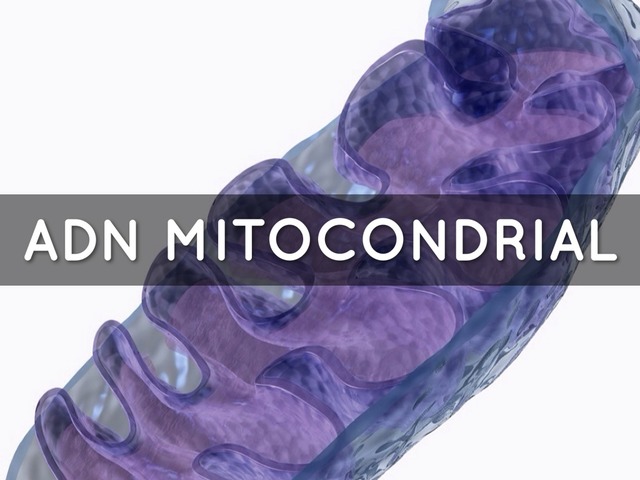 ULTIMA DECADA (2000)