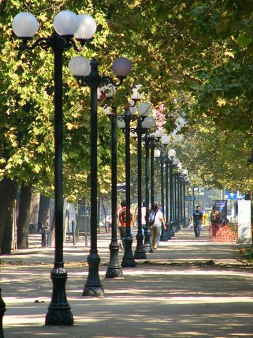 se inaugura el Parque forestal