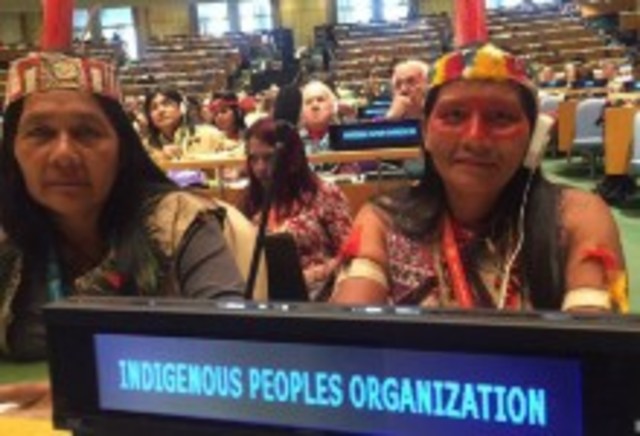 PARTICIPACIÓN POLÍTICA