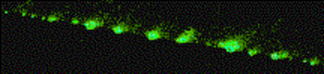 sputnik has launched ARPA