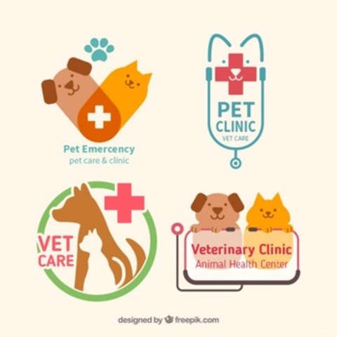My specialization in veterinary