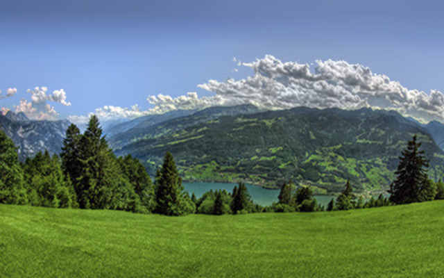 México: Dirección General de Ecología Urbana