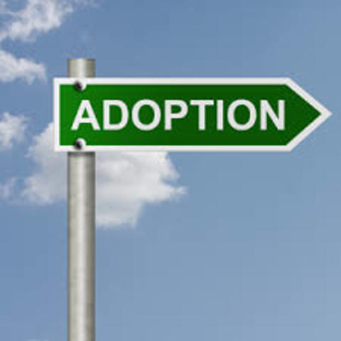 Lilly adopted (sister)