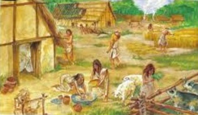 Ideal pedagógico o el Deber Ser