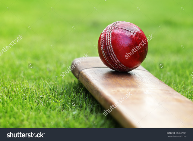 Charlie hits Mr.peocock with a cricket bat.