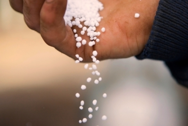 Some aldermen sprinkle lime on Miss Emily's lawn to get rid of the awful smell