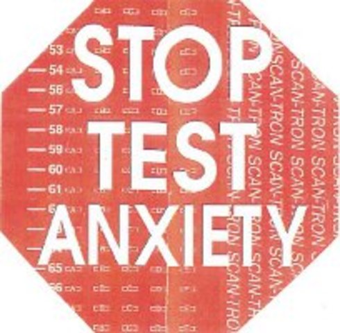 Participating in Government Day #11, Activity #3