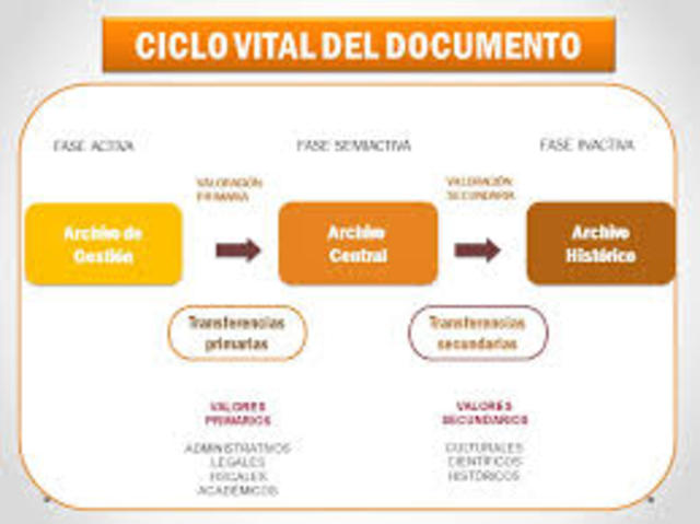 CICLO VITAL