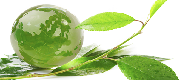 Promulgación de la LGEEPA