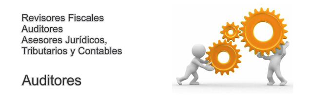 Elección de los Revisores Fiscales