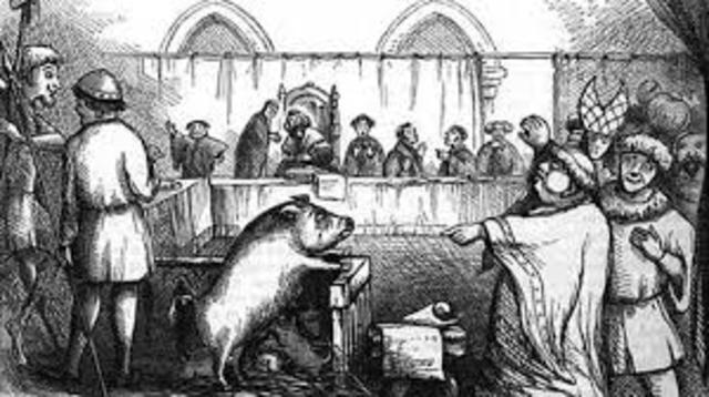 Problemas sanitarios