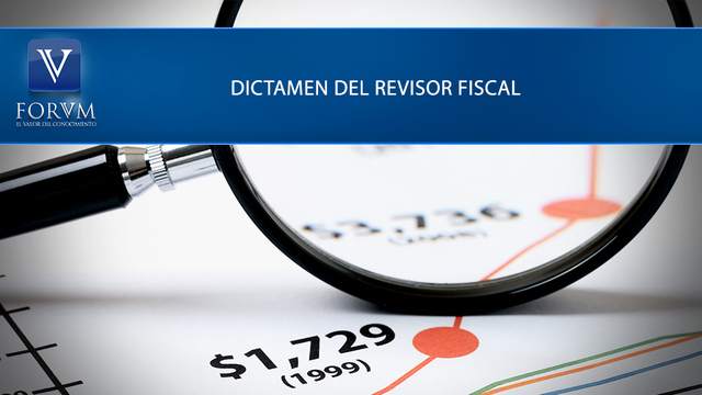 Reglamento Contenido del Informe y del Dictamen del Revisor Fiscal.