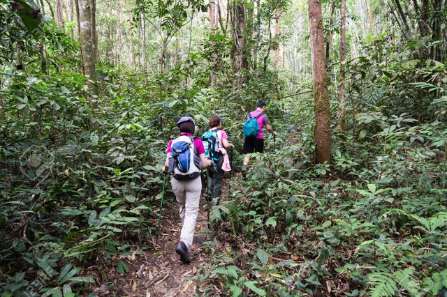 Inge and Peter hide the guest
