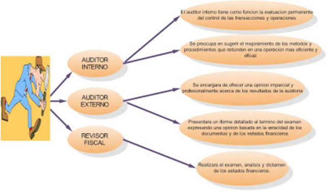 Comité de Auditoria vs Revisoria Fiscal, Coordinación de Finciones