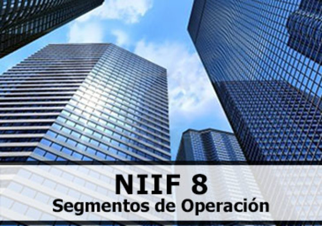 La NIIF 8