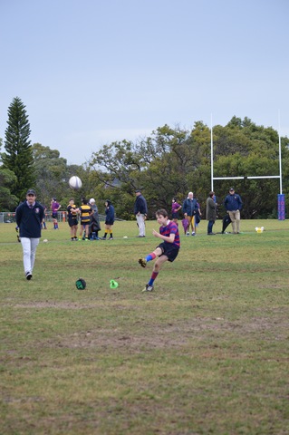 charlemagne, charles the great king of the franks
