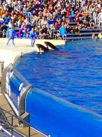 Sea World San Diego