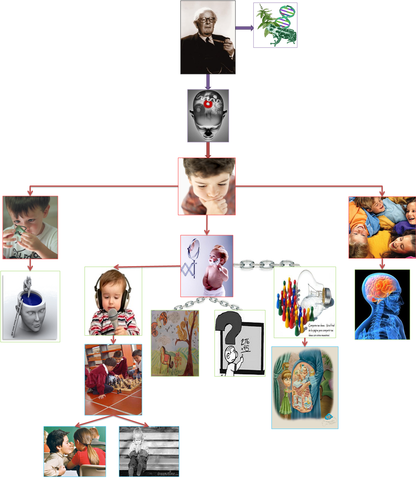 Epistemología genética (Jean Piaget)