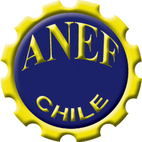 Creación de la ANEF