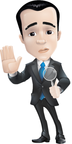 El Contador público como Revisor Fiscal