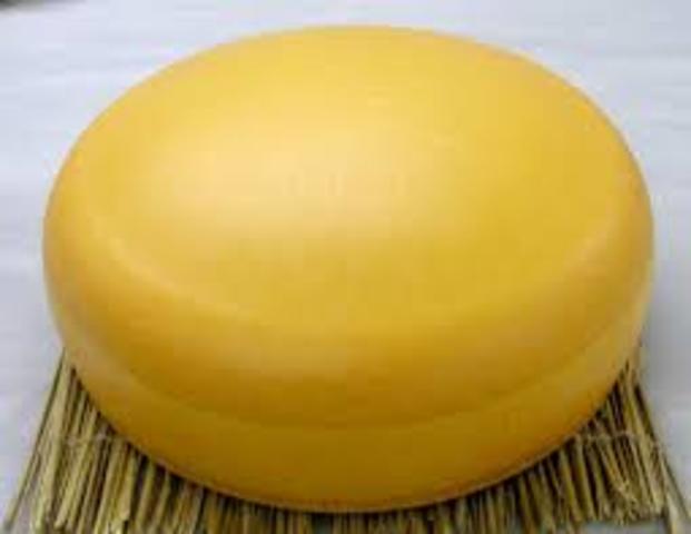 gouda
