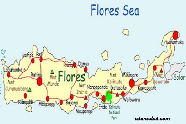 Portugis Mengunjungi Flores