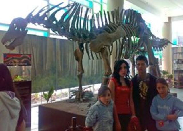 Exposición  de dinosaurios.