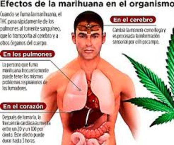 Efectos en el Cuerpo