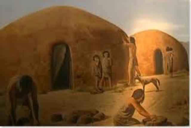 Revolución neolitica