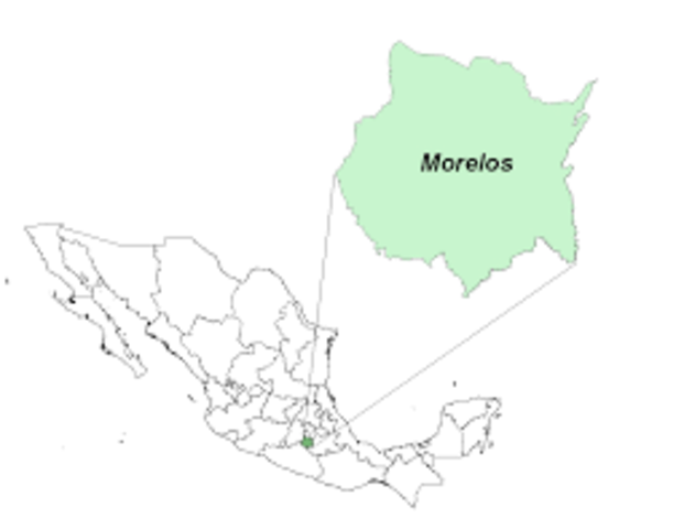 Re activación del PIM