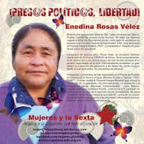 Caso Enedina Rosas Vélez