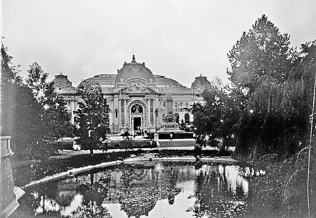 se inaugura el Parque Forestal