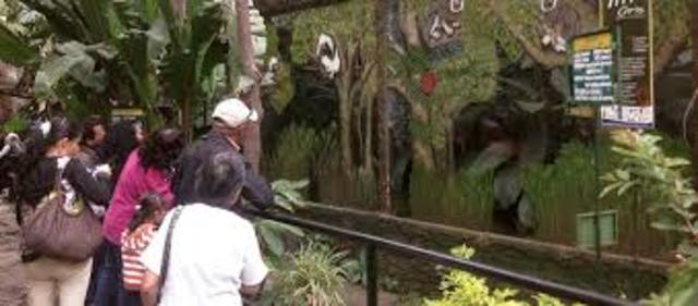 CUANDO FUI AL ZOOLÓGICO