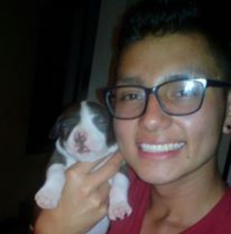 CUANDO ME REGALARON UN PERRITO