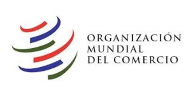organización