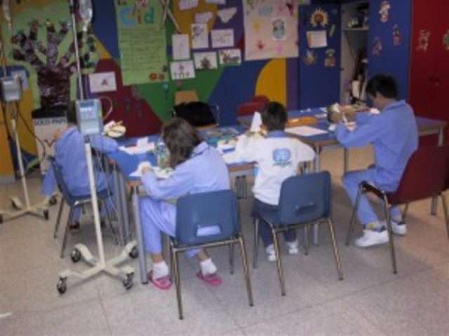 Conformación de la Pedagogía Hospitalaria