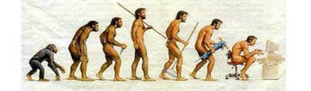 Teoría del nivel de adaptación